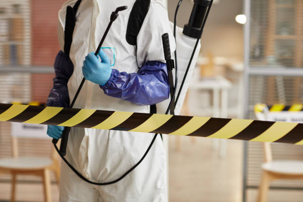 Professional Odor Removal technician working in Albion, NY